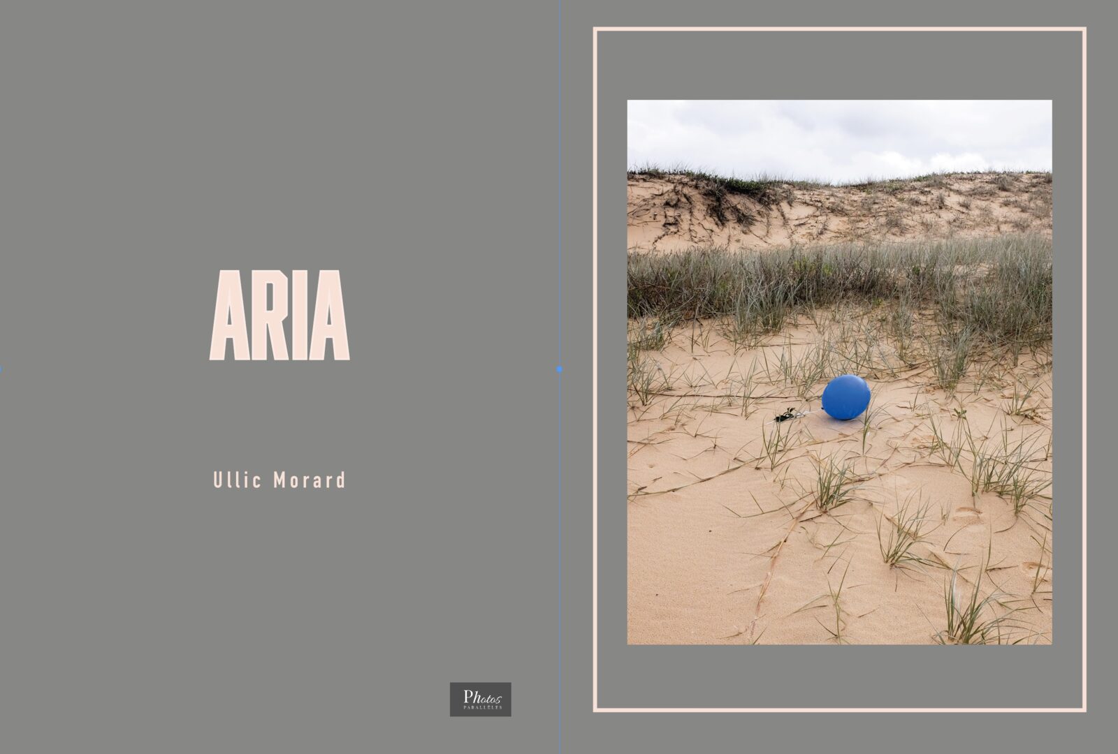 Aria